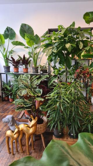 Fleuriste Urban et Végétal 0