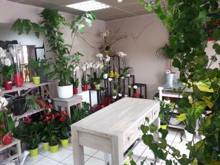 Fleuriste Paquien Michel InterFlora 1