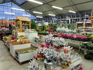 Fleuriste Joll'y Fleur 0