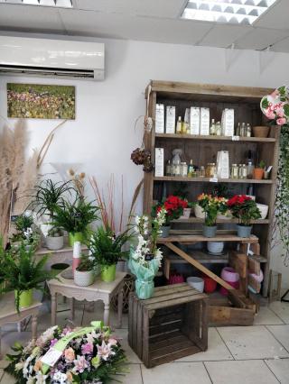 Fleuriste A Fleur de Pot 2