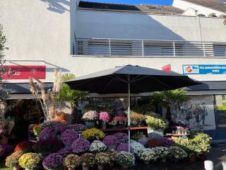 Fleuriste Fleurs D'aujourd'hui 0