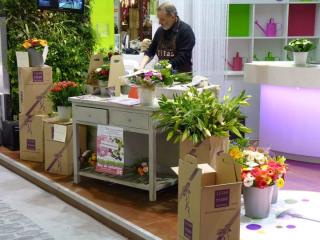 Fleuriste Lilas rose boutique.com 0