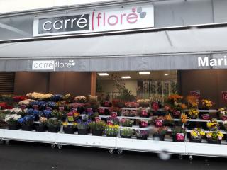 Fleuriste Carré Flore 0