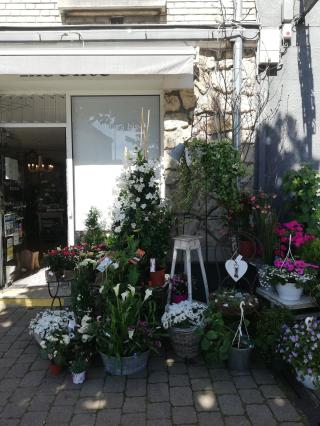 Fleuriste Tamaya Bis, l'insolite 0