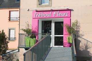 Fleuriste A Treboul Fleurs, Artisan Fleuriste 0