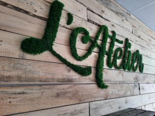 Fleuriste Écrin Végétal | Créations de plantes et végétaux stabilisés à Bouc-Bel-Air 0