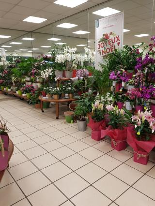 Fleuriste Le Jardin des Fleurs 0