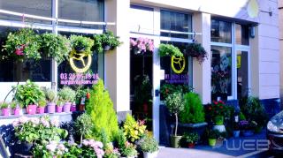 Fleuriste Marguerite fleuriste 0