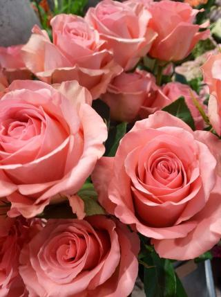 Fleuriste FLEURS A LINE 0