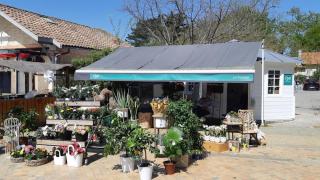 Fleuriste Oya Fleurs Le Kiosque 0