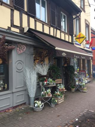 Fleuriste ETAMINE - 67000 0