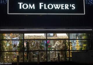 Fleuriste Tom Flower's 0