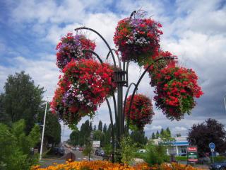 Fleuriste Horty Fumel 1