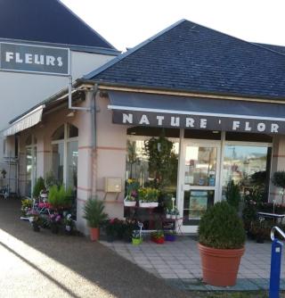 Fleuriste Nature Flor 0