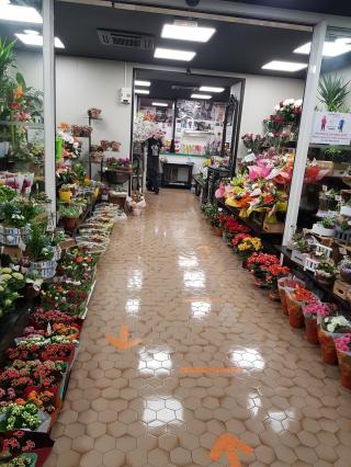 Fleuriste Et Les Fleurs Aussi 0