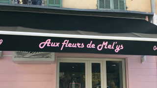 Fleuriste Aux Fleurs de Mel'ys 0