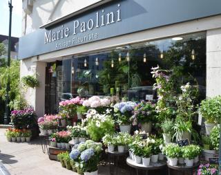 Fleuriste MARIE PAOLINI 0