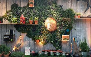 Fleuriste GreenGeorges 0