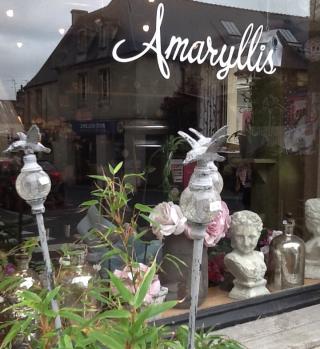 Fleuriste Amaryllis 0