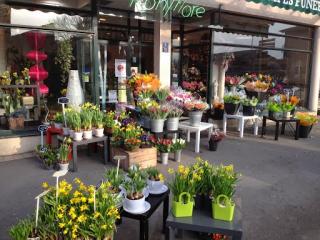 Fleuriste Fleur & Apparence 0