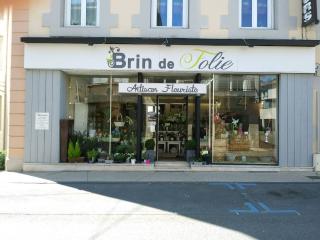 Fleuriste BRIN DE FOLIE 0