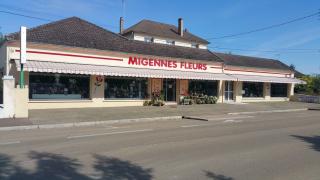 Fleuriste Migennes Fleurs 0