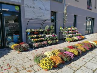 Fleuriste Un brin Deux fleurs 0