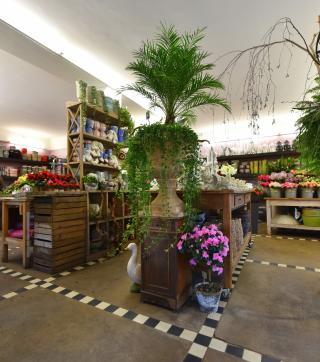Fleuriste Magasin DECLIPPELEIR 1