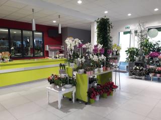 Fleuriste BRIGAND FLEURS 0