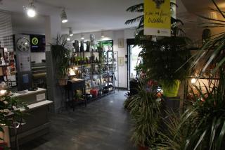 Fleuriste AMARYLLIS/LE TEMPS DES FLEURS 2