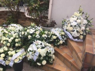 Fleuriste ALOES FLEURISTE 0