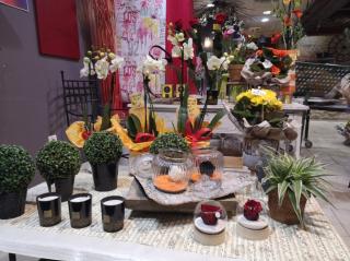 Fleuriste ETAMINE ET PISTIL 0