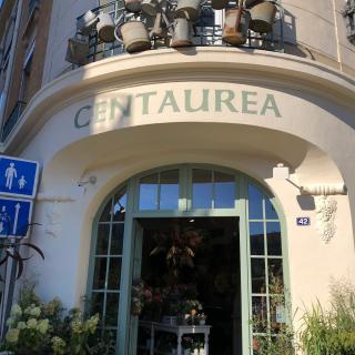 Fleuriste Artisan fleuriste 