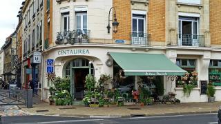 Fleuriste Artisan fleuriste 