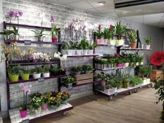 Fleuriste Cœur de fleurs 1