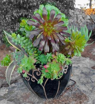 Fleuriste Jardinatpaca 0