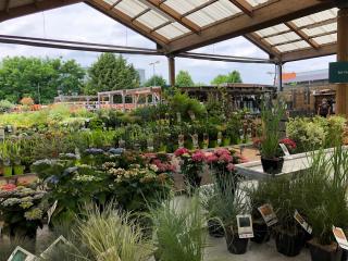 Fleuriste botanic® Brétigny 1