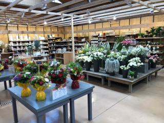 Fleuriste botanic® Brétigny 0