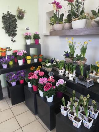 Fleuriste Atelier des fleurs 1