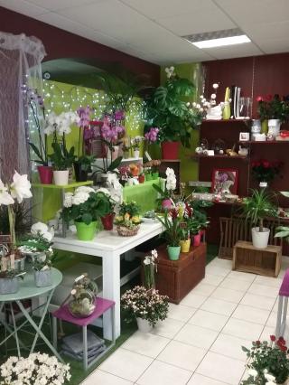 Fleuriste Fleurs & Clo 0