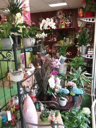 Fleuriste Fleurs & Clo 0