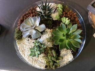 Fleuriste Aubépine 2