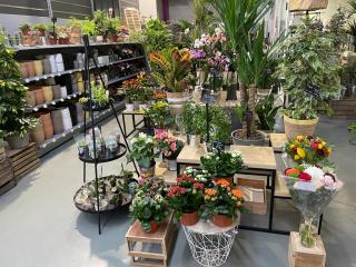 Fleuriste Bricorama Voiron 0