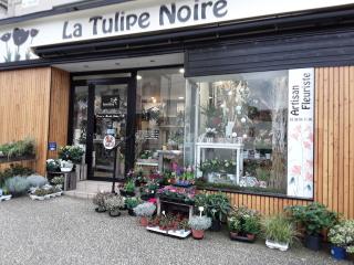 Fleuriste La Tulipe Noire 0