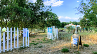 Fleuriste Jardin élevant 0