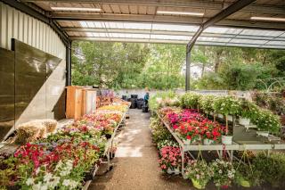 Fleuriste 🪴 Jardinerie Jaïa Balaruc - Sète 🦜 Animalerie🪞Décoration (Anciennement Baobab) 2