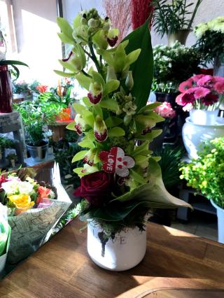 Fleuriste rouge pivoine 