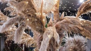 Fleuriste Rouge Pivoine Caen 0