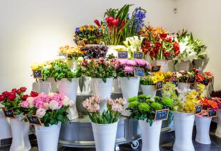 Fleuriste Marché aux Fleurs Clermont-Ferrand 0