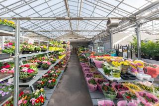 Fleuriste Le Carrefour De La Fleur 1